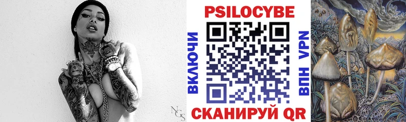 закладки Озёрск Псилоцибиновые грибы Magic Shrooms